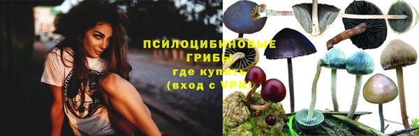 мет Арсеньев