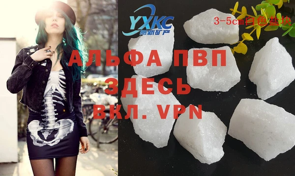 спиды Аркадак