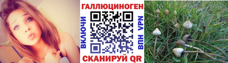 Галлюциногенные грибы прущие грибы  даркнет сайт  Певек 