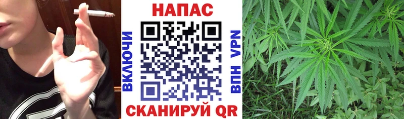 Канабис White Widow  купить наркотик  Певек 